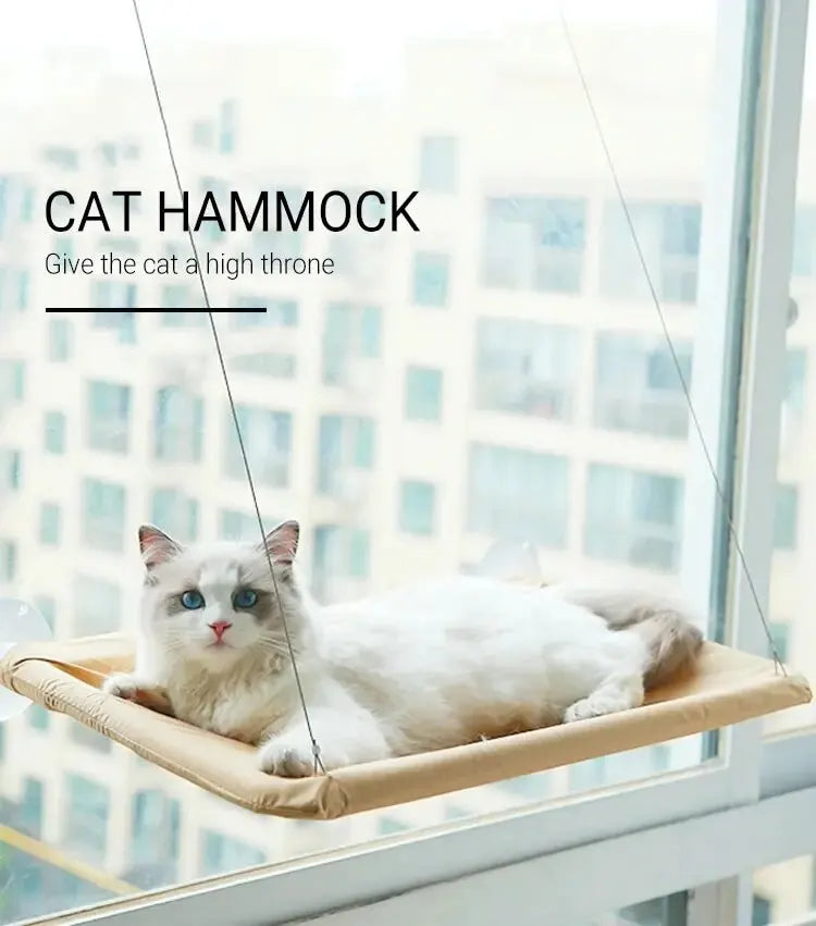 Cat Hammock