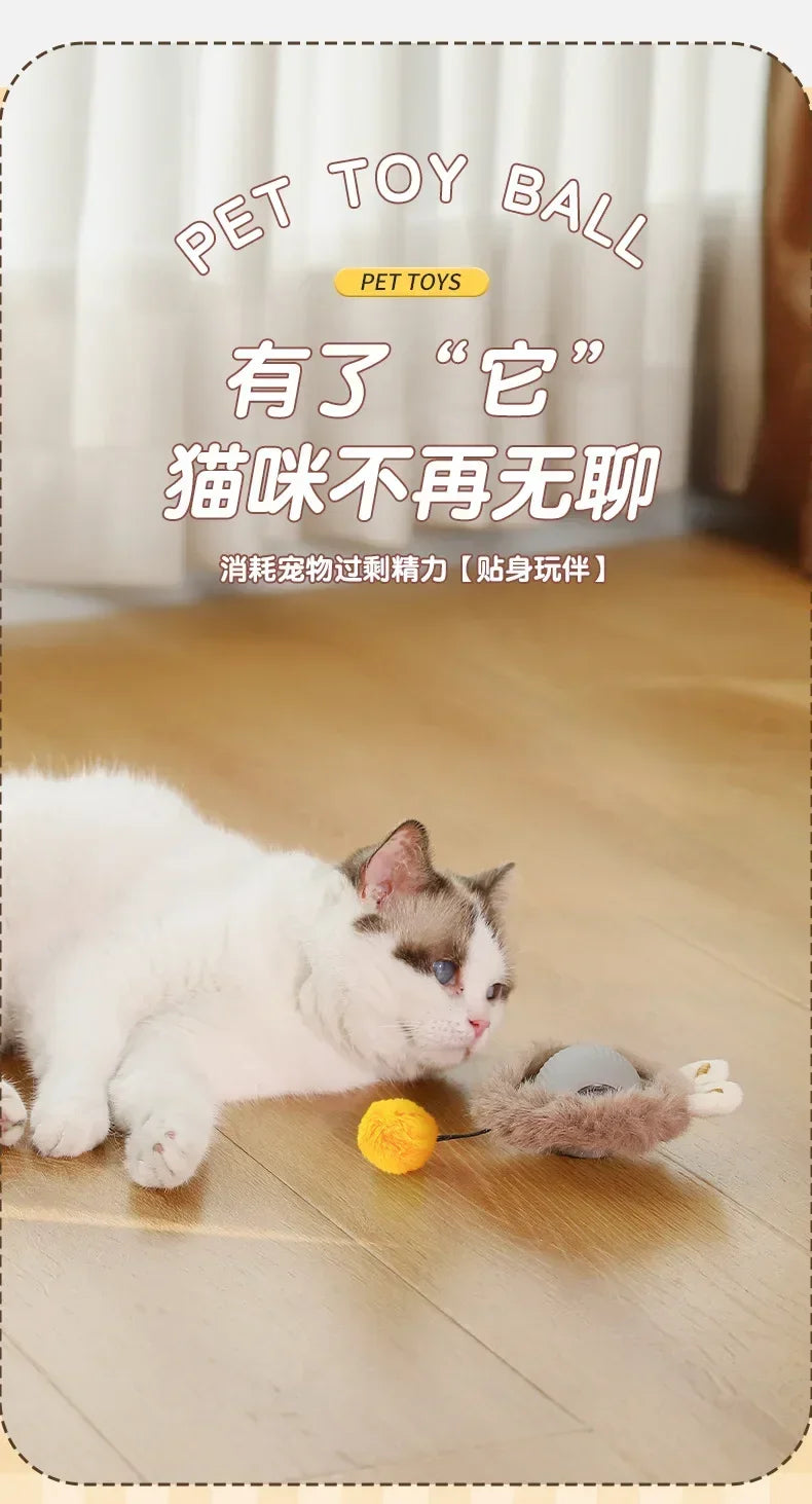 Electric Rolling Toy with Tail for Cats