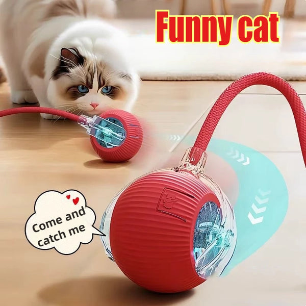 Electric Rolling Toy with Tail for Cats