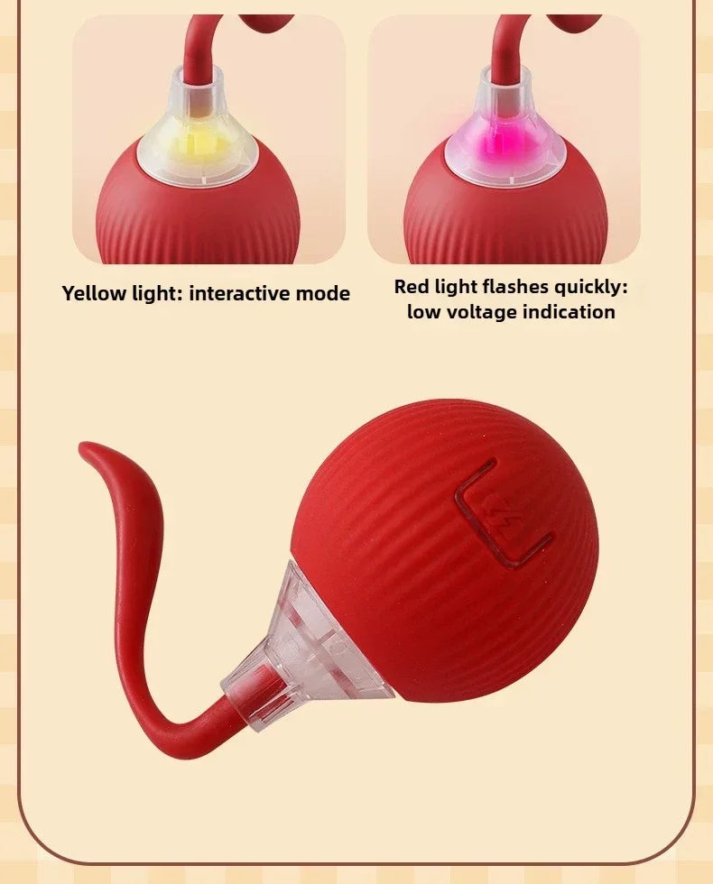 Electric Rolling Toy with Tail for Cats