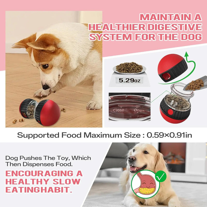 Rolling Food Ball for Training & Intelligence