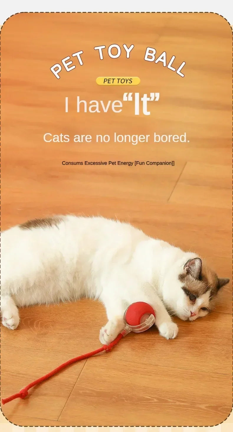 Electric Rolling Toy with Tail for Cats