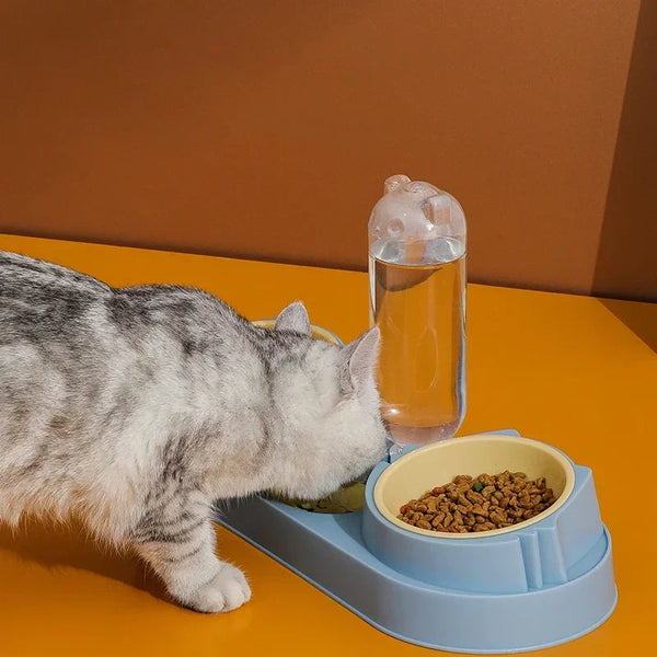 Automatic Pet Feeder