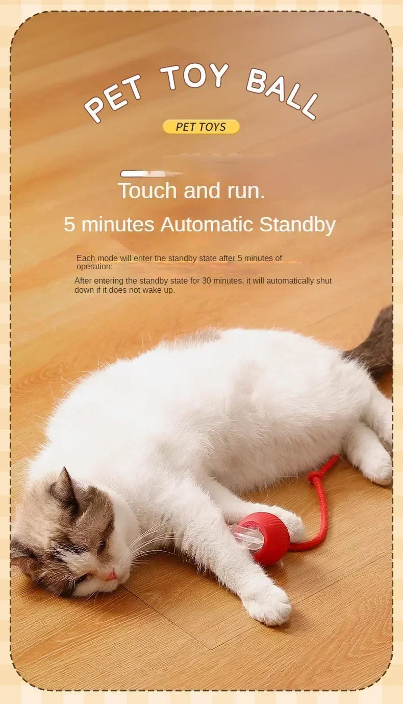 Electric Rolling Toy with Tail for Cats