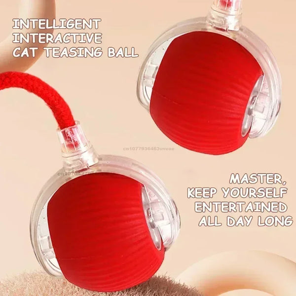 Electric Rolling Toy with Tail for Cats