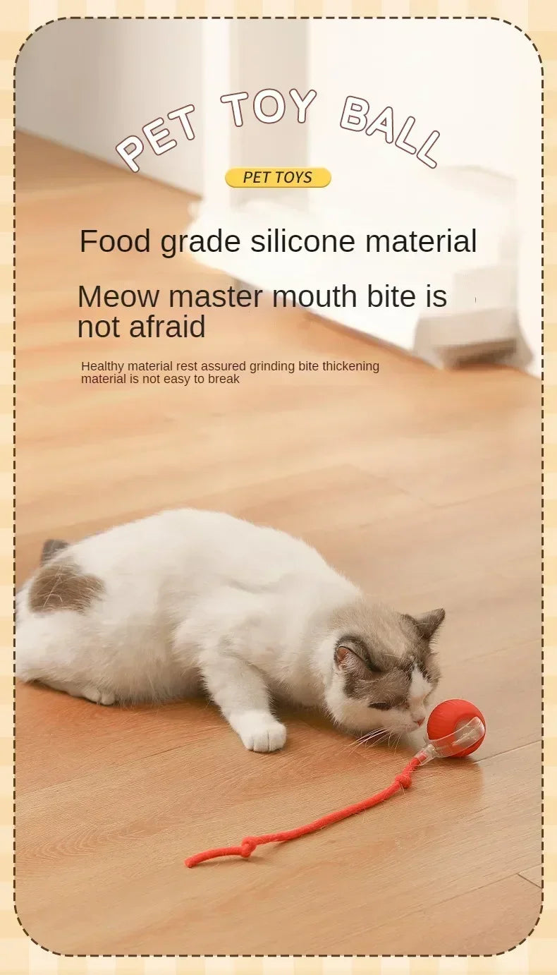 Electric Rolling Toy with Tail for Cats