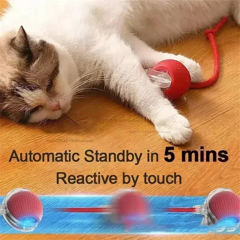Electric Rolling Toy with Tail for Cats