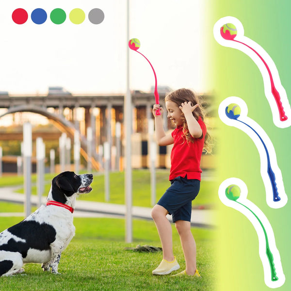 Interactive Ball Launcher for Pet